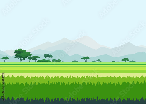 Beautiful ricefield landscape with mountains vector illustration