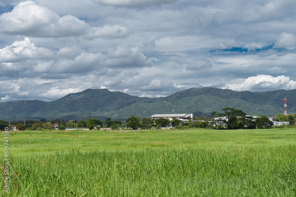 Green filed and mountain in the city.