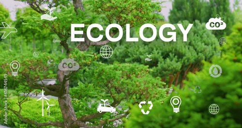 Green nature background.Ecology concept.Eco.CO2 reduce.CO2 emmision concept.4K video photo