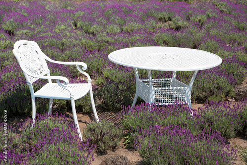 Wrought iron table and chair in a lavender garden.