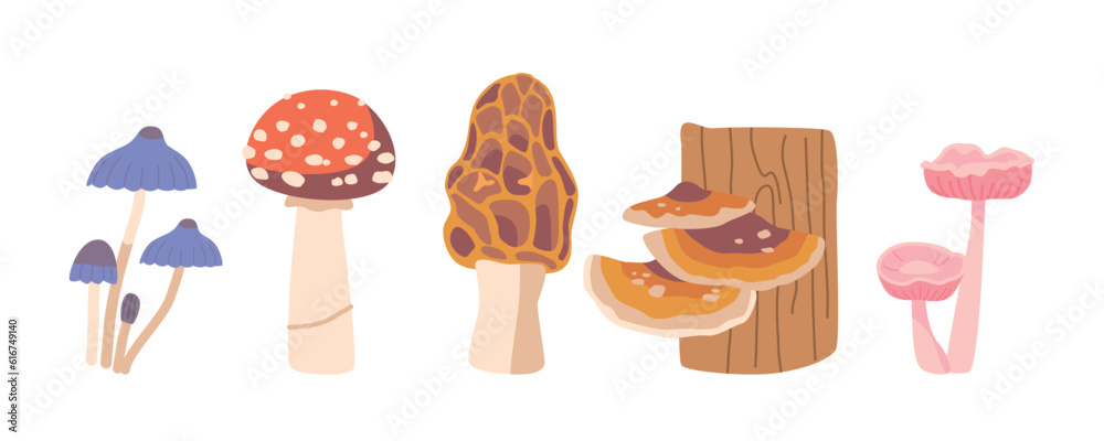 Isolated Forest Mushrooms Set. Toadstools, Morel, Amanita And Woolly Milkcap Fungi Plants Create A Whimsical Atmosphere Isolated Forest Mushrooms Set. Toadstools, Morel, Amanita And Woolly Milkcap Fungi Plants Create A Whimsical Atmosphere