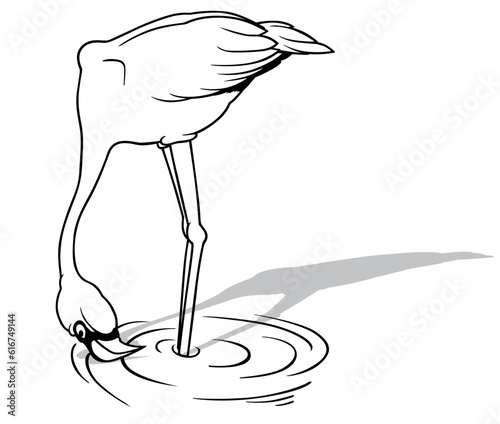 Drawing of a Flamingo Standing in the Water with its Head Down