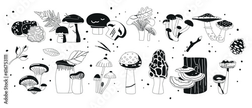 Set Of Forest Mushrooms Black Icons. Toadstool, Woolly Milkcap, Chanterelle, Morel, Amanita, Porcini, Oyster, Shiitake