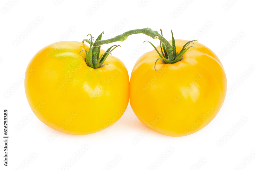 Two fresh yellow tomatoes. Isolated on white background. Two fresh yellow tomatoes. Isolated on white background.