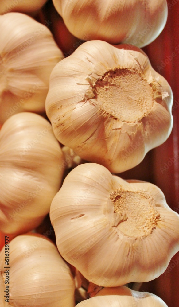 garlic cloves closeup background garlic cloves closeup background