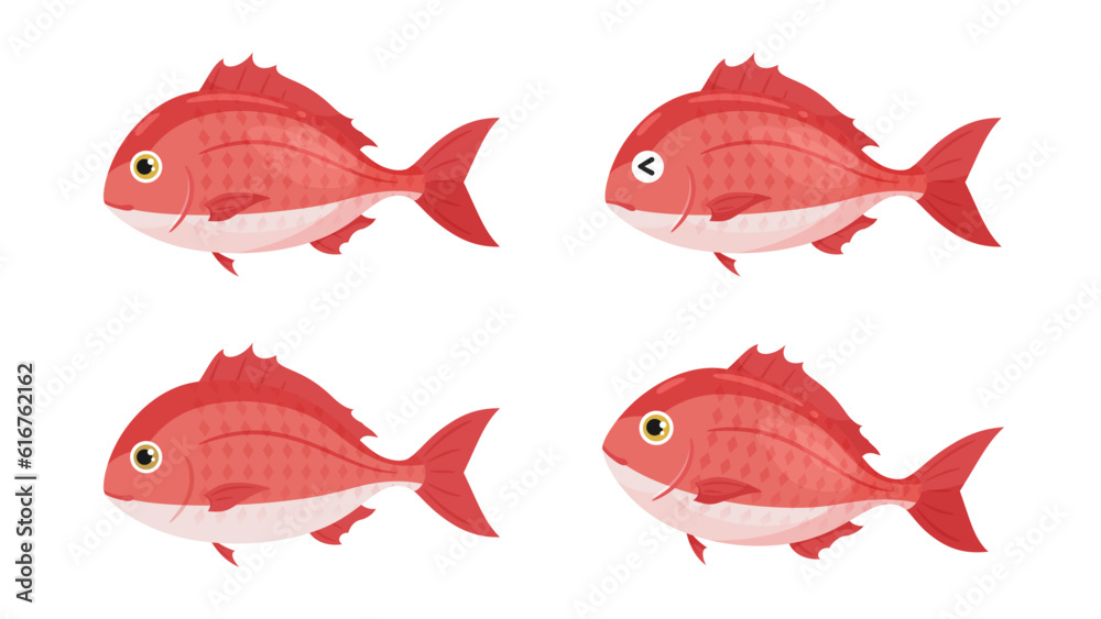 Fototapeta premium かわいい鯛のイラスト素材セット