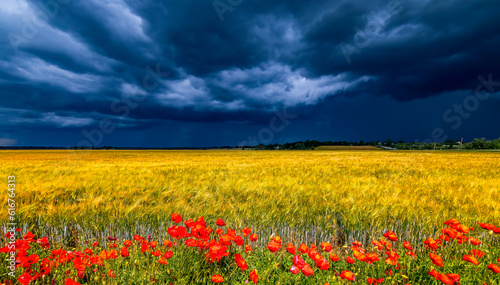 Agricultural or rural landscape with approaching clouds of thunderstorm, fiel...