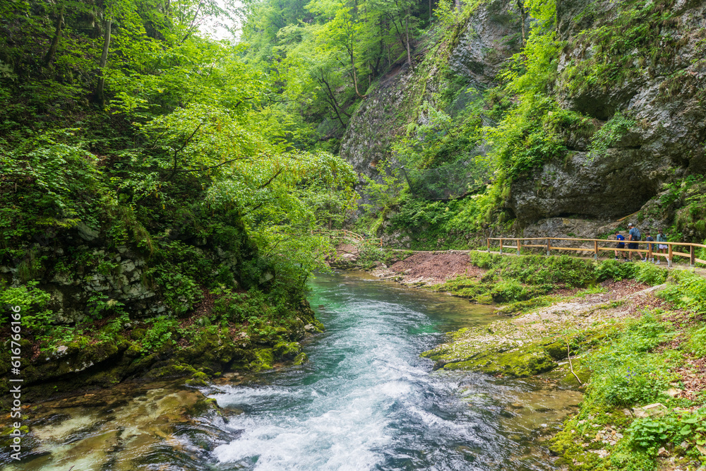 Lush Landscape of Radovna River Valley in Vintgar Gorge, Slovenia