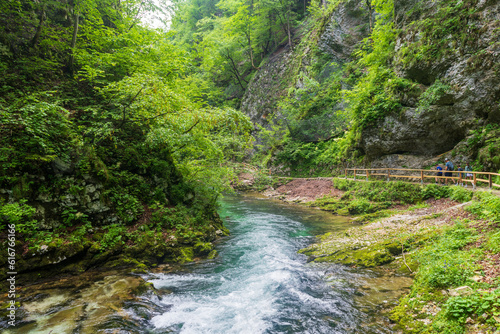 Lush Landscape of Radovna River Valley in Vintgar Gorge, Slovenia photo