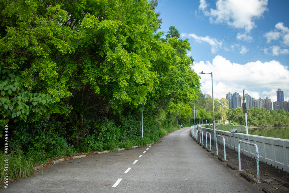 Along the road are lush green trees and blue skies with white clouds Along the road are lush green trees and blue skies with white clouds