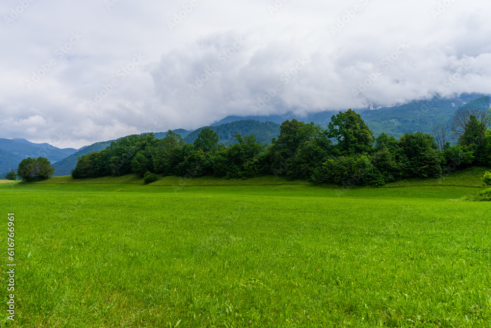 Green Scenic Alpine Meadow in Slovenia Green Scenic Alpine Meadow in Slovenia
