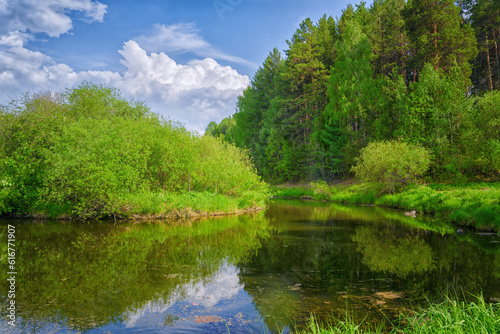 Summer landscape with riverbank. Wonderful nature  beautiful natural background.