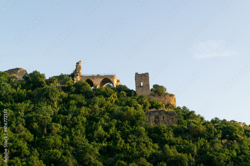 Monfor Castle on the hill