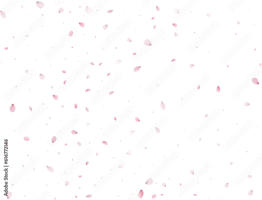 Flying Spring Sakura.