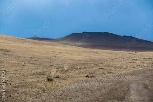 Landscape in Hustai National Park as known Khustain Nuruu National Park, Central Mongolia