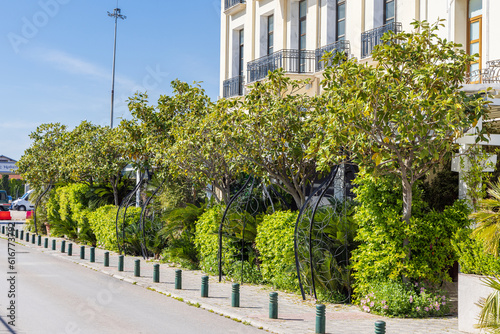 Fototapeta Naklejka Na Ścianę i Meble -  Bushes and small trees surrounding restaurant greening the city in the center of Thessaloniki in Central Macedonia in Greece