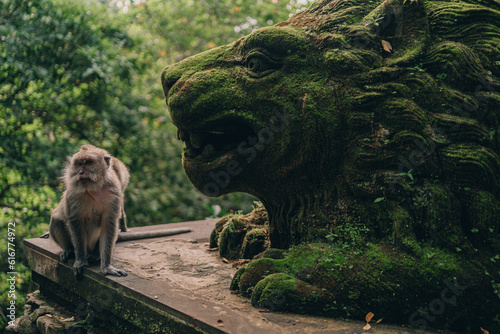 Cute monkey beside lion stone sculpture covered with moss. Balinese decorative architecture in sacred monkey forest