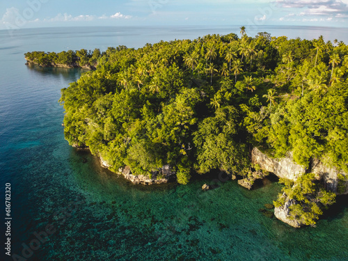 Fototapeta Naklejka Na Ścianę i Meble -  The Aerial View of Pisang Island in Banda Archipelago, Central Maluku, Indonesia