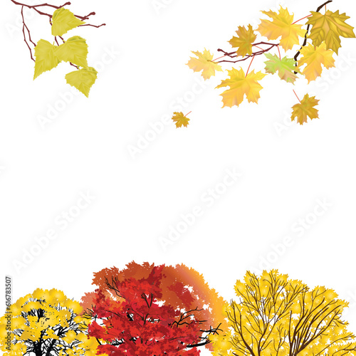 autumn trees and branches group isolated on white