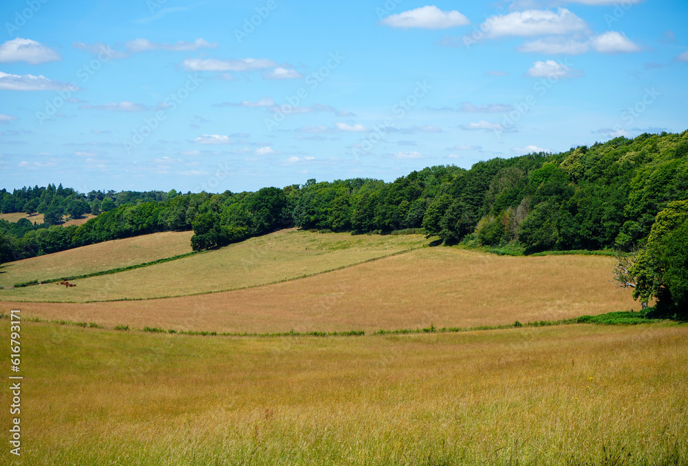 View over brown farm fields and countryside 