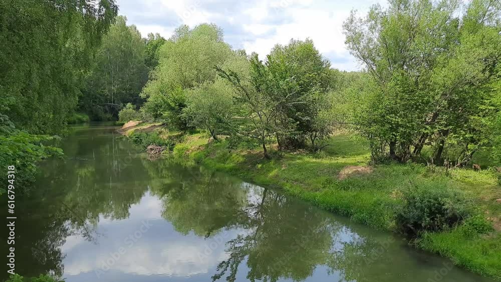 Slowly flowing green river with forested banks and grass in summer Slowly flowing green river with forested banks and grass in summer