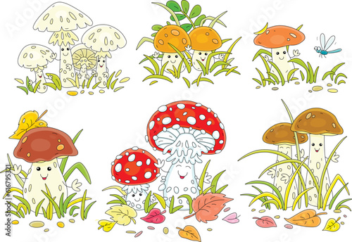 Cartoon set of forest mushrooms among grass, funny Kawaii characters, outline vector illustrations isolated on a white background