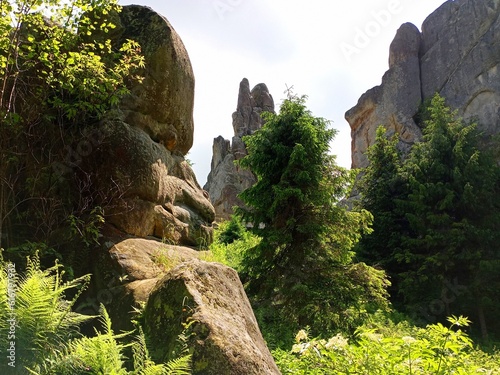 A rock with a face. Complex of natural rocks. Rocky Mountains. Mountain landscape.