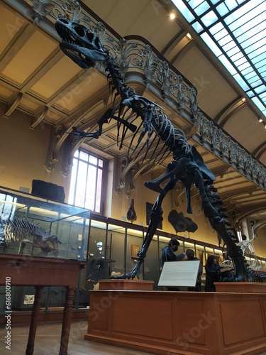 Galerie de Paléontologie , Dinosaures , Paris