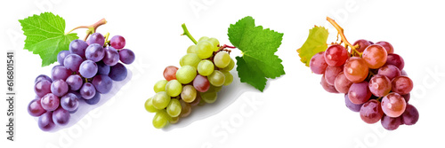 Appetizing sprig of grapes on a white background. Colorful collection of grapes of different varieties. The concept of food, gardening. Vector illustration