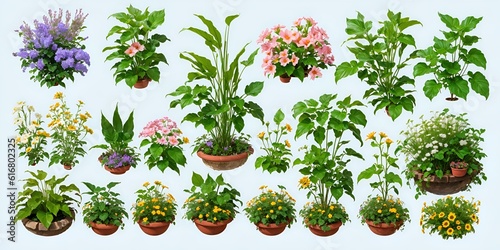Indoor plants on a light gray background, a set of illustrations.