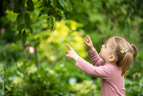toddler girl is interested in leaves and tree, outdoor authentic nature with kids