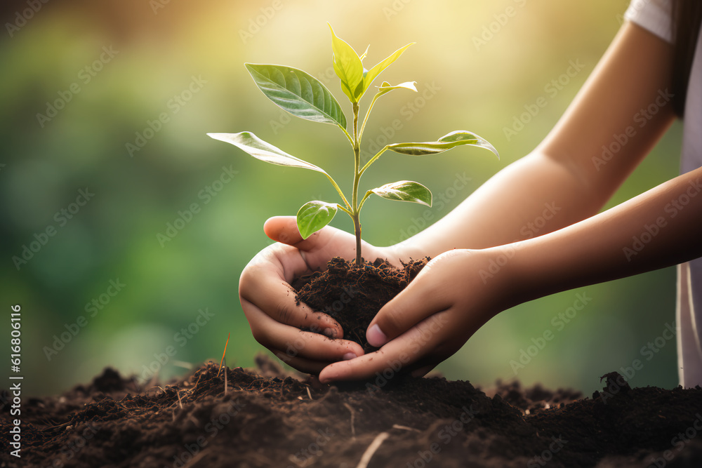 hand children holding young plant with sunlight on green nature background. concept eco earth day hand children holding young plant with sunlight on green nature background. concept eco earth day