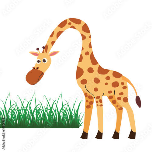 giraffe in the grass