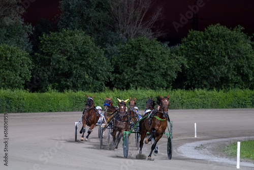 Racing horses trots and rider on a track of stadium. Competitions for trotting horse racing. Horses compete in harness racing. Horse runing at the track with rider.  © scatto