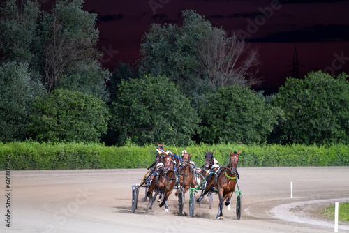 Trotting racehorses and rider on a stadium track. Competitions for trotting horse racing. Horses compete in harness racing. Horse running on the track with the rider at sunset.  © scatto