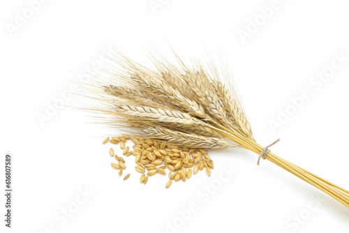Grains et épis de blé