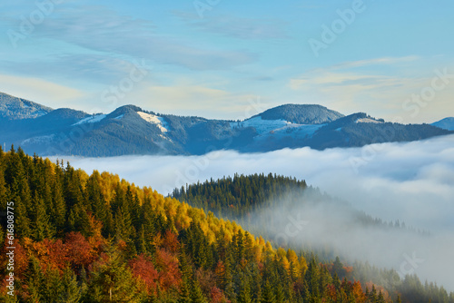 Autumn landscape with fog in the mountains. Fir forest on the hills. Carpathians, Ukraine