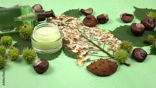 Therapeutic and cosmetic preparations on the basis of horse chestnut placed on the horse chestnut leaves and inflorescence, seeds and green spiky fruits, green background photo