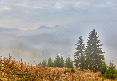 lawn is enlightened by the sun rays. Majestic autumn rural landscape. Fantastic scenery with morning fog. Green meadows in frost. Picturesque resort Carpathians valley, Ukraine, Europe.