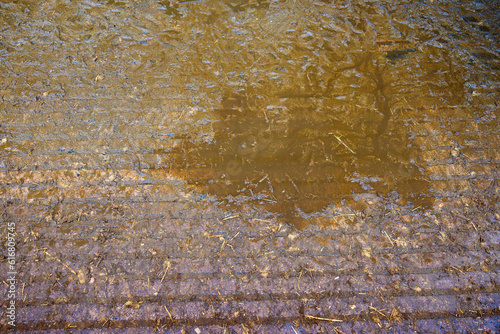 Canvastavla Slurry at a dairy farm in Pulaski, wisconsin