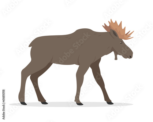 Moose bull icon. Standing brown wild forest animal Elk with big horns. Flat vector illustration isolated on white background.