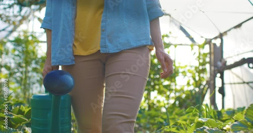 Cropped image of legs of farmer walking in greenhouse. Gardener grows summer harvest. Orchard house worker carries watering can. Female worker take care of plants. Argiculture industry. photo