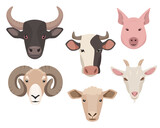 Farm or domestic animal Faces isolated on white background. Set of farm animals head icons. Cow, bull, sheep, pig, ram and goat. Vector flat or cartoon illustration.