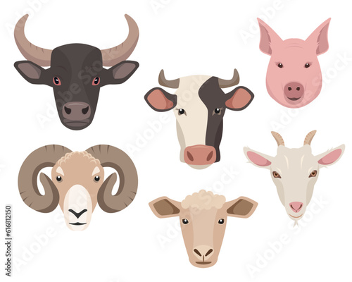 Farm or domestic animal Faces isolated on white background. Set of farm animals head icons. Cow, bull, sheep, pig, ram and goat. Vector flat or cartoon illustration.