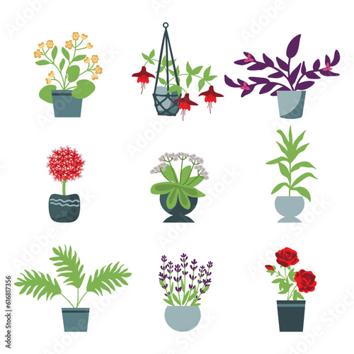 House plants set