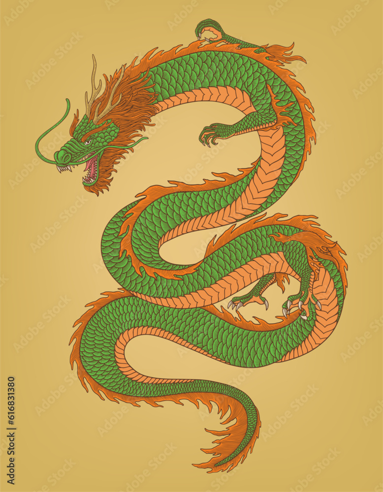 Fototapeta premium Angry chinese dragon, vintage engraving drawing style vector illustration