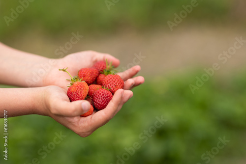 man's hands with strawberries
