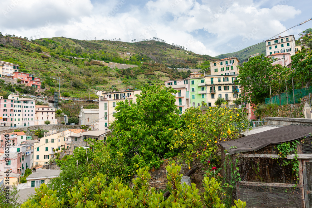 Terrace houses and terraced hillsides beyond back garden in Riomaggiore