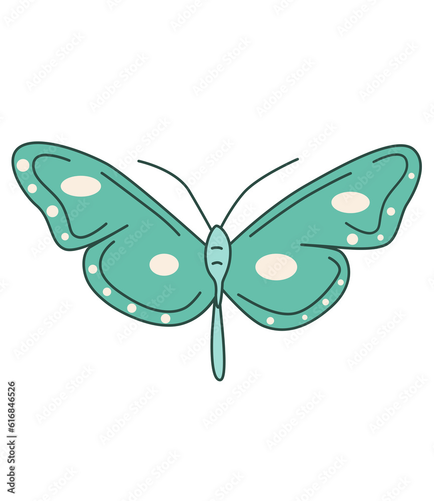 beautiful butterfly beautiful butterfly