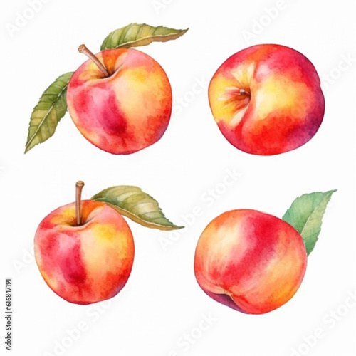 Nectarine portrayed in a vibrant watercolor.